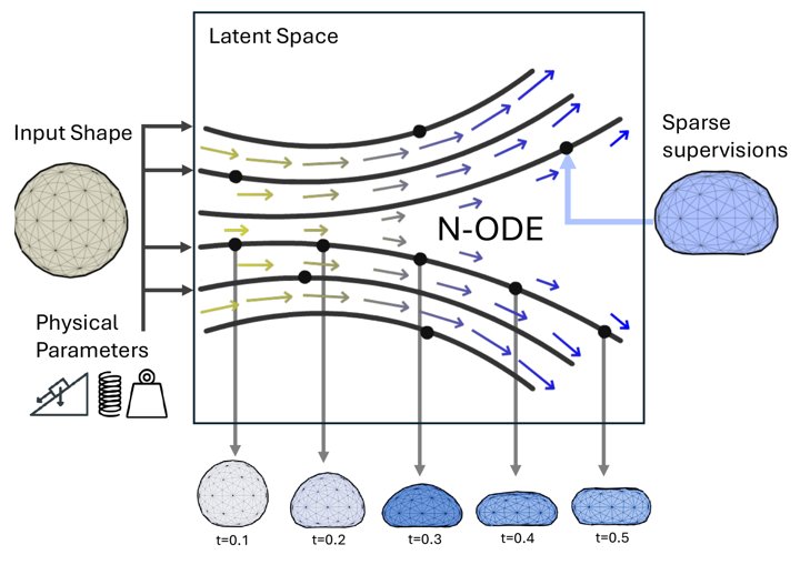 ODeform: Learning Continuous 4D Motion for Shape Deformation with Neural ODEs